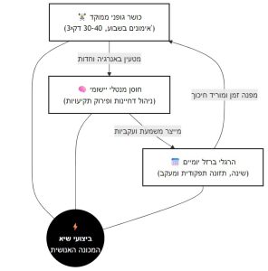 דיאגרמה שמסבירה איך ליווי אונליין עובד: דרך בניית הרגלים חיוביים יוצרים מערכת שמעודדות אותנו להתאמן, האימונים מחזקים חוסן מנטלי והחוסן המנטלי בתורו מוריד את ה"תירוצים" שאנחנו אומרים לעצמנו, ככה אנחנו מתאמנים יותר ומגיעים לביצועים ושינוי לטובה.